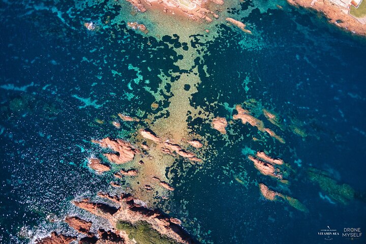 Saint-Raphaël : Snorkeling guidé à l'Île des Vieilles - Anthéor