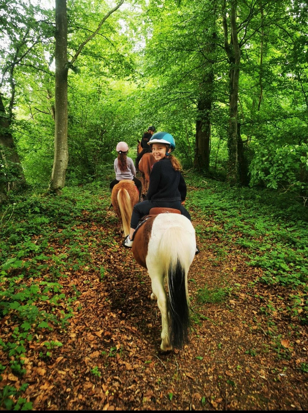 Balade à Poney dans le Beauvaisis