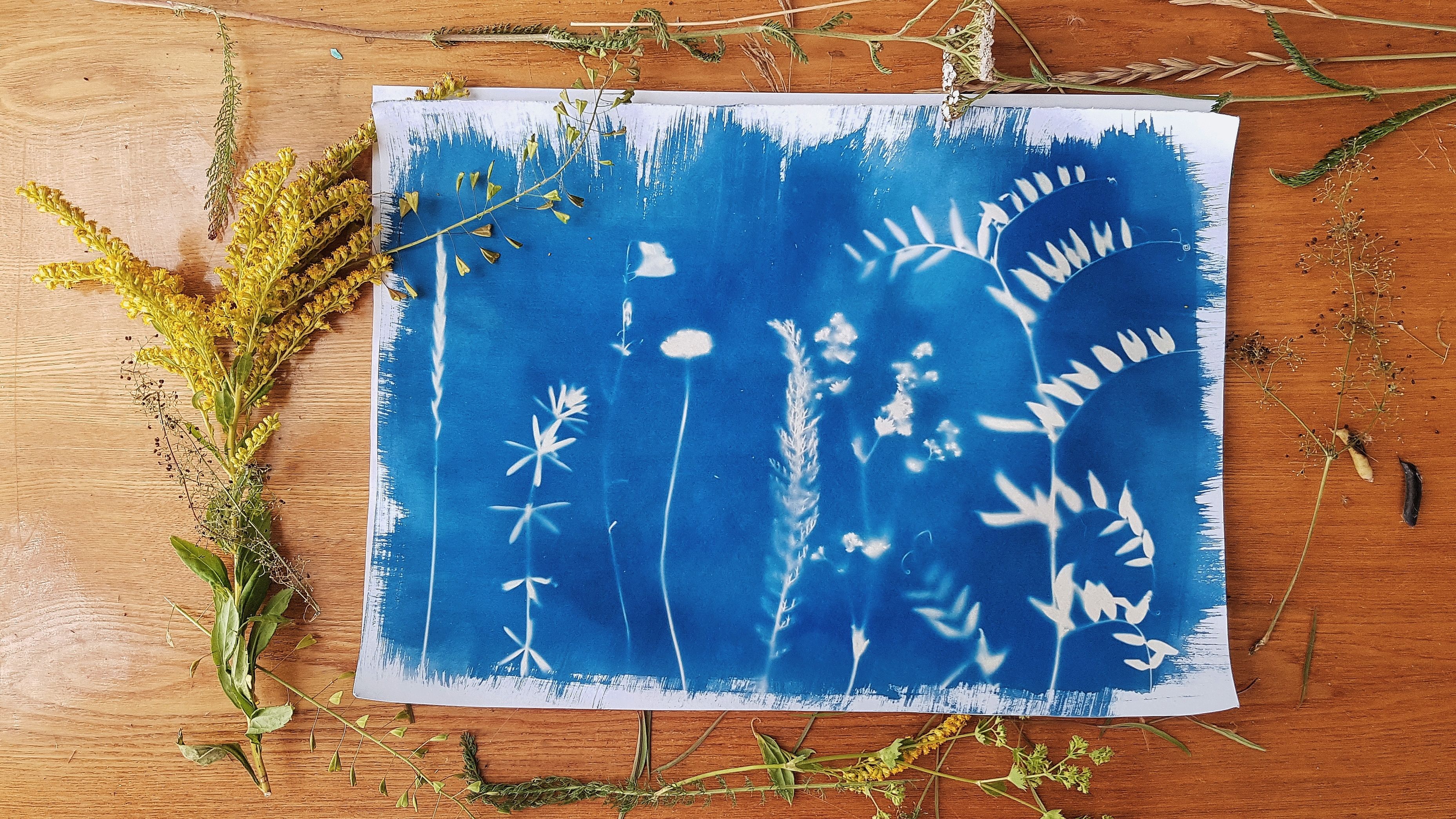 Créez votre œuvre déco unique - Atelier Cyanotype
