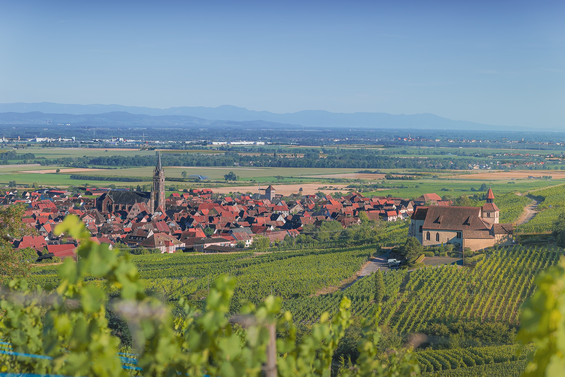 Visite guidée: découvrez le patrimoine de Dambach-la-Ville