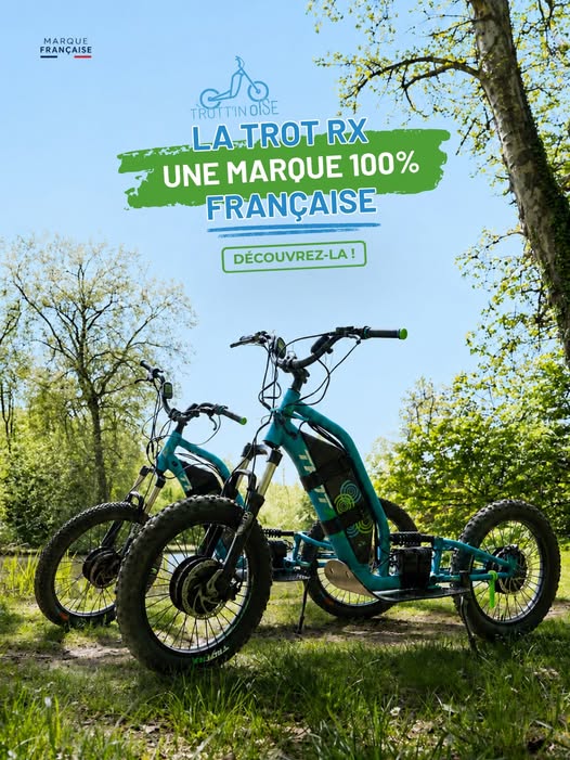 Location en forêt en Trottinette électrique