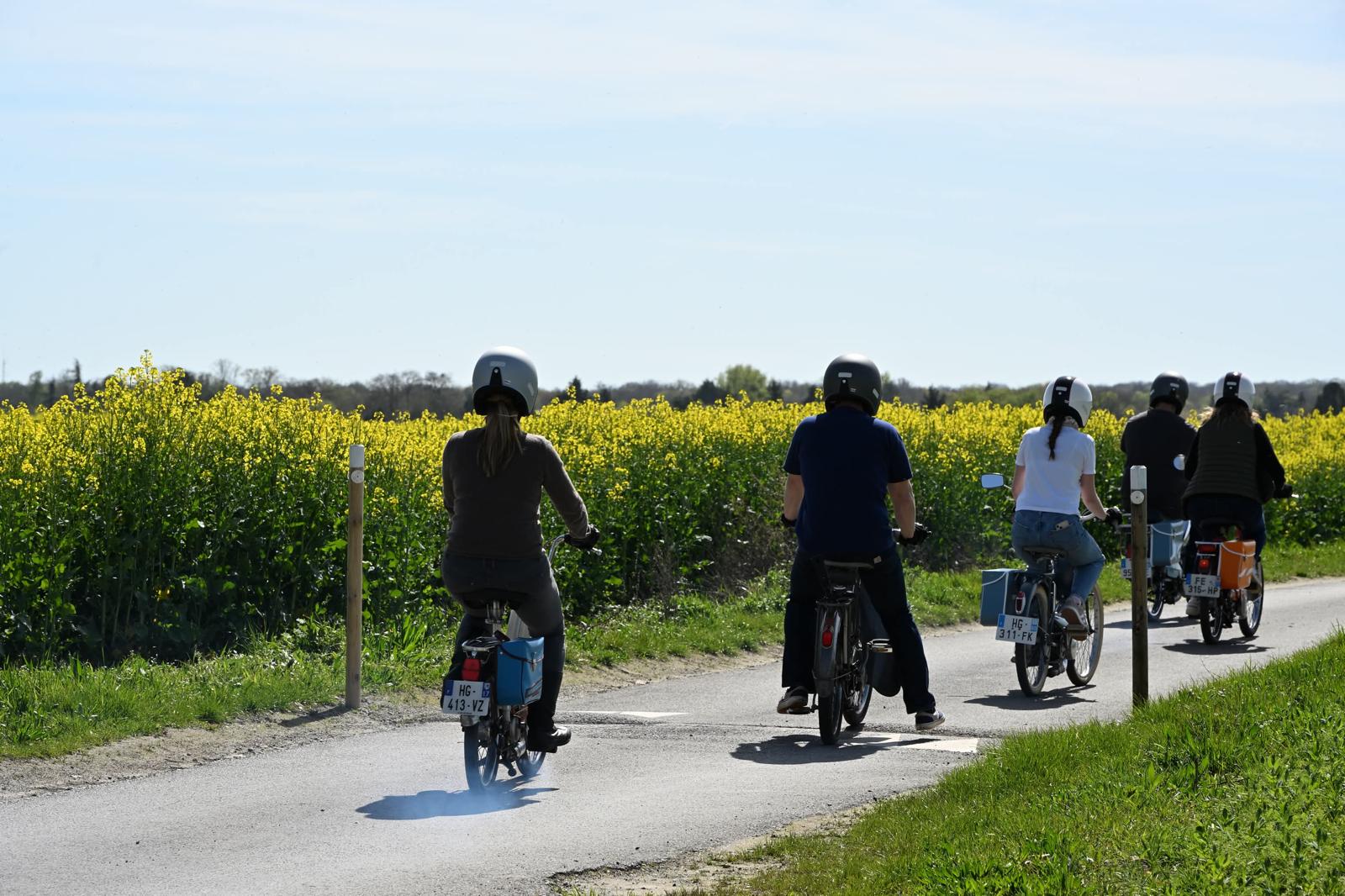 Balade en mobylettes Vintage à la journée