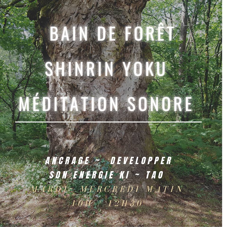 Méditation sonore en forêt & Shinrin Yoku