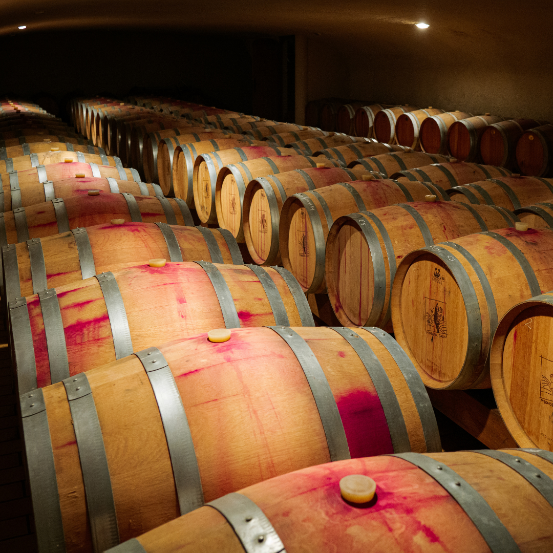 Entrez dans le quotidien d'un Vigneron Indépendant ! Visite guidée des vignes, des chais et dégustation