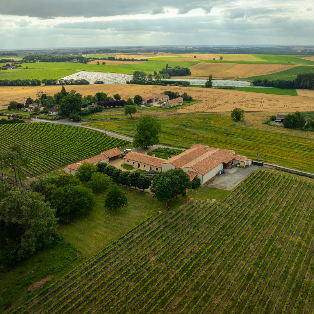 Entrez dans le quotidien d'un Vigneron Indépendant ! Visite guidée des vignes, des chais et dégustation