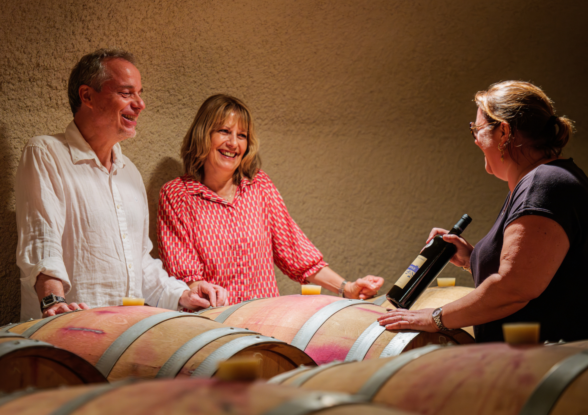 Entrez dans le quotidien d'un Vigneron Indépendant ! Visite guidée des vignes, des chais et dégustation