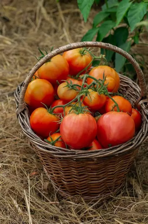 Visite du Jardin du Brûle & Atelier cuisine