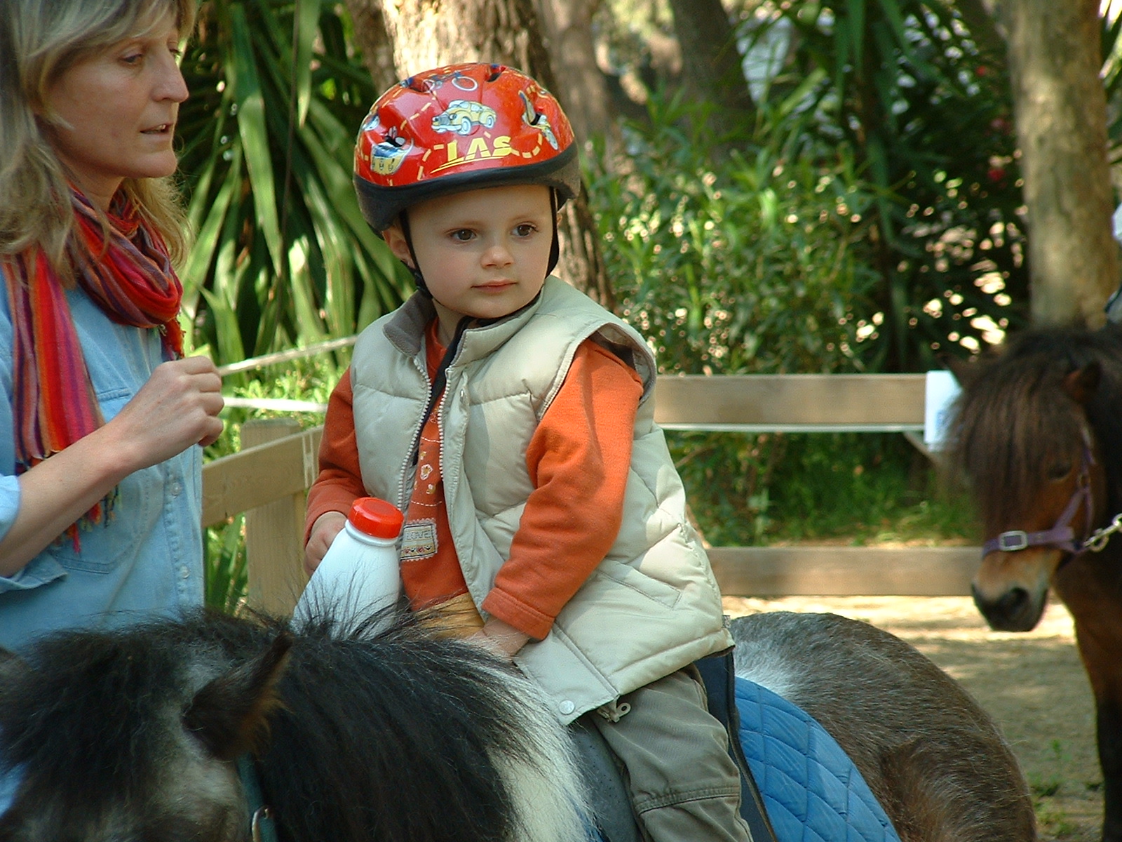 Bébé cavalier 2–4 ans –Encore bébé, et déjà cavalier. Atelier découverte équitation au Dramont, Saint-Raphaël